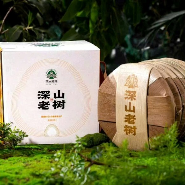Trà phổ nhĩ chín Thâm Sơn Lão Thụ 357g PNC01 - Ảnh 6